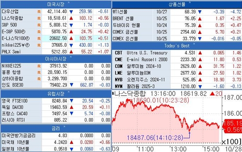 [뉴욕 마켓 브리핑](10월28일)