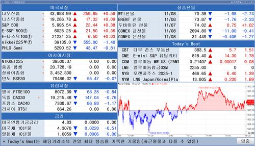 [뉴욕 마켓 브리핑](11월11일)