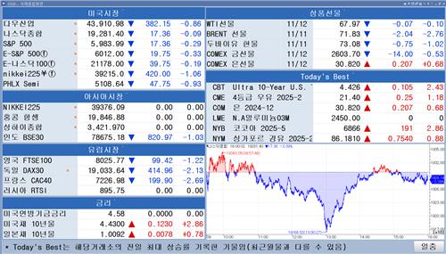 [뉴욕 마켓 브리핑](11월13일)