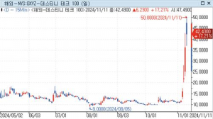 美 대선 후 200% 넘게 급등한 머스크 '프록시' 상품은 무엇