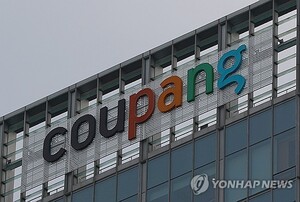 쿠팡 개인정보 유출에...국내 이커머스 수익성도 '빨간불' - 뉴스 썸네일 이미지