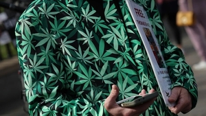 트럼프, 마리화나 규제 완화 행정명령 검토…관련주 '들썩'