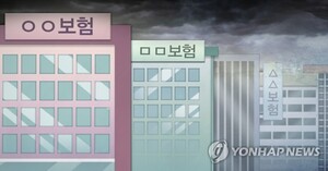 삼성화재, 조직 갖춰 기업가치 올린다...밸류업 시동 거는 보험사 - 뉴스 썸네일 이미지