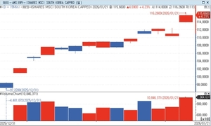 MSCI 한국 ETF 강세 관련 이미지