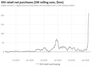'역발상' 개미들, 美 소프트웨어 업종 급락에 대거 저가 매수
