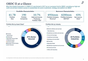 [블루아울 쇼크] 'OBDC II' 무엇이 문제 됐나…사모신용시장 유동성 우려 확산