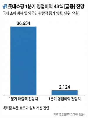 "백화점 손님 늘어난다"...롯데쇼핑, 1Q 부활 날갯짓 - 뉴스 썸네일 이미지