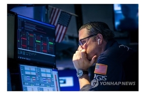 美 비관론자 "AI 거품 꺼질 것…일종의 폰지 사기"