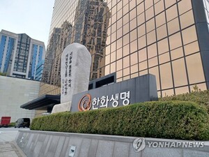 [보험사 재편②]GA 대형화 등 자회사 키운다...보험 넘어 영토확장 - 뉴스 썸네일 이미지