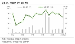 IPO 발걸음 6년만 최소인데..."중복상장 가이드라인, 대어급 분수령" - 뉴스 썸네일 이미지
