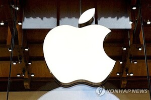애플 전문가 
